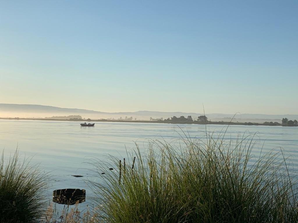 O Cantinho Entre A Ria E O Mar - With Hot Water Pool All Year Round Torreira Esterno foto