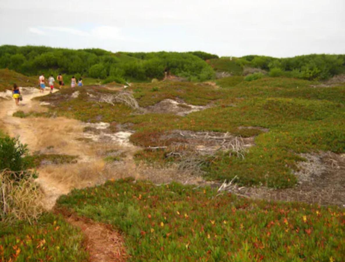 O Cantinho Entre A Ria E O Mar - With Hot Water Pool All Year Round Torreira Esterno foto